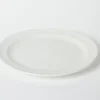 10.75" Dinner Plate Straw