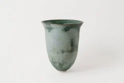 Hoa Mai Vase - Moss with Lichen